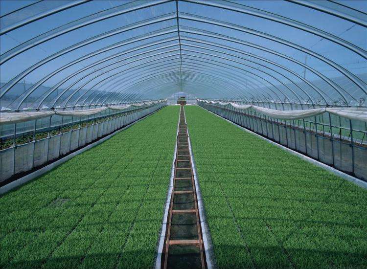 蔬菜大棚具有出色的保温性能的框架覆膜结构